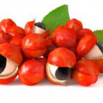 Guarana is a natural energizer and coffee substitute
