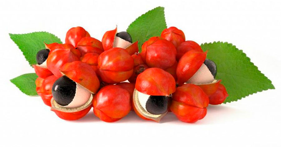Guarana is a natural energizer and coffee substitute